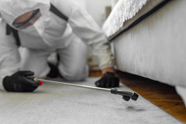 Professional Pest Control technician working in Webster, SD