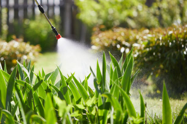 24/7 Emergency Pest Control experts in Webster, SD