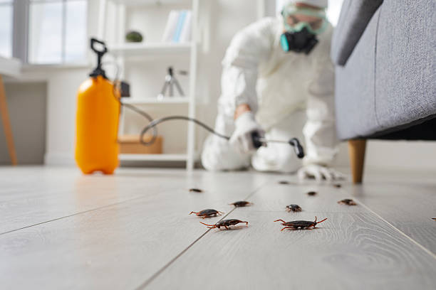 Affordable Pest Control solutions in Webster, SD